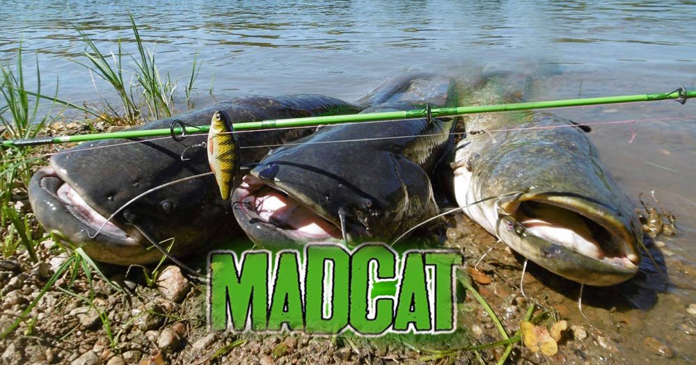 Воблеры MADCAT® INLINE RATTLER - 13cm - 90g - CANDY. Фото N6 Воблеры MADCAT® INLINE RATTLER - 13cm - 90g - CANDY. Фото N6