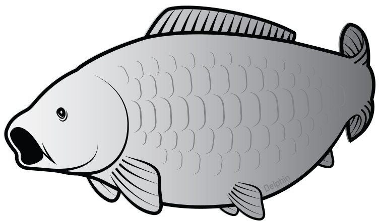 Наклейка Delphin CARP SILVER Sticker / 80x45mm Наклейка Delphin CARP SILVER Sticker / 80x45mm