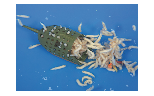 Кормушка Colmic STICKY MAGGOTS FEEDER. Фото N4 Кормушка Colmic STICKY MAGGOTS FEEDER. Фото N4