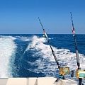 Оснастка для ловли на море