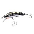 L-MINNOW 66