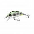 L-MINNOW 33