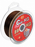 Леска плетёная WFT KG CAT Brown 300/060