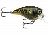 Bоблер Rapala BX BRAT 5см 11гр 1,8м цв.MSY