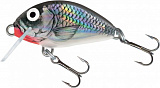 Воблер плавающий Salmo TINY F 03/HGS