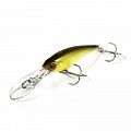 SOUL SHAD 45 SP