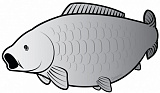 Наклейка Delphin CARP SILVER Sticker / 80x45mm