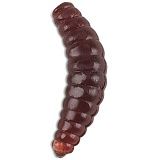 Силиконовые приманки IRON TROUT BEE MAGGOTS / 2.5cm / Broun - 20шт.