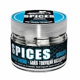 Бойлы Насад. Тон. Sonik Baits Spices 14Мм 90Мл