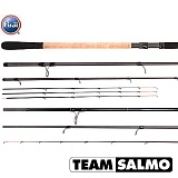 Удилище фидерное Team Salmo ENERGY Feeder 4.2м 180гр Удилище фидерное Team Salmo ENERGY Feeder 4.2м 180гр